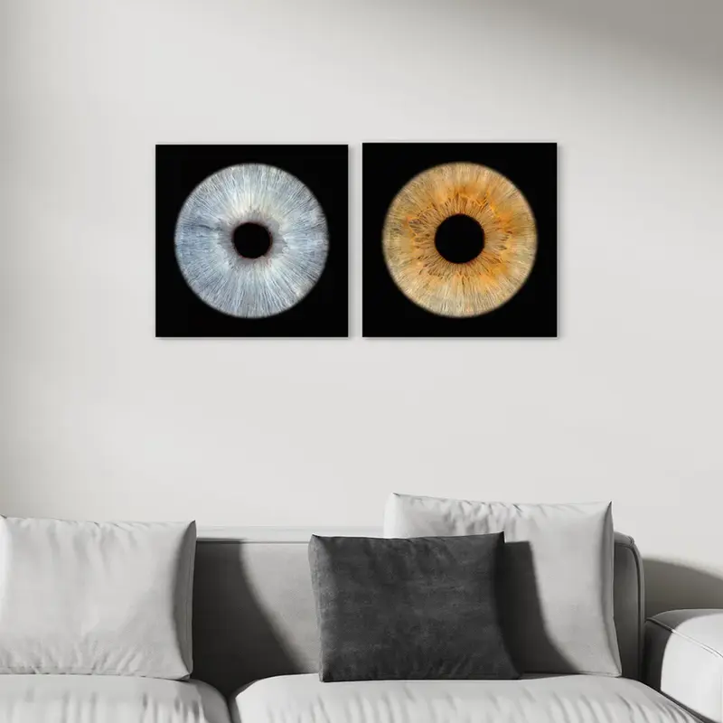 Zwei einzelne Iriden – blau und braun – auf Acrylglas im Wohnzimmer