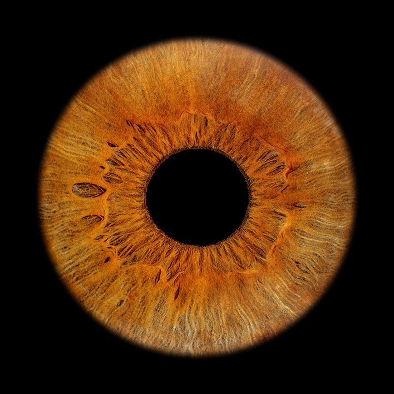 Makroaufnahme einer bernsteinfarbenen Iris mit feurigen Tönen