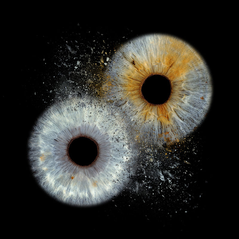 Clash zwischen aschgrauer und blau-goldbrauner Iris – inspiriert von Supernova
