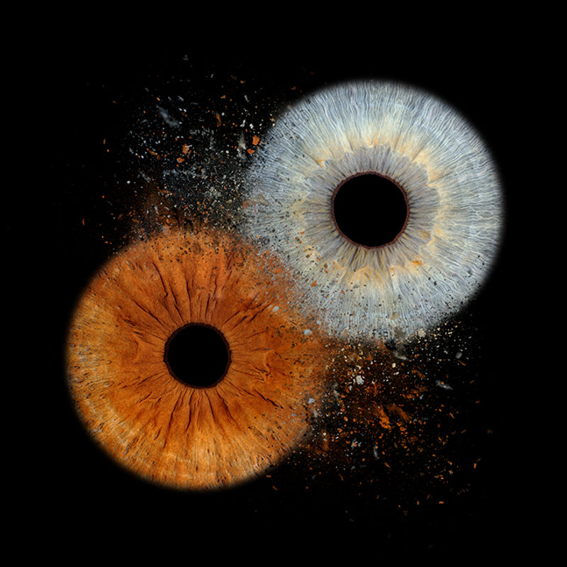 Intime Iris Nahaufnahme – das individuelle Selbst auf einzigartige Weise