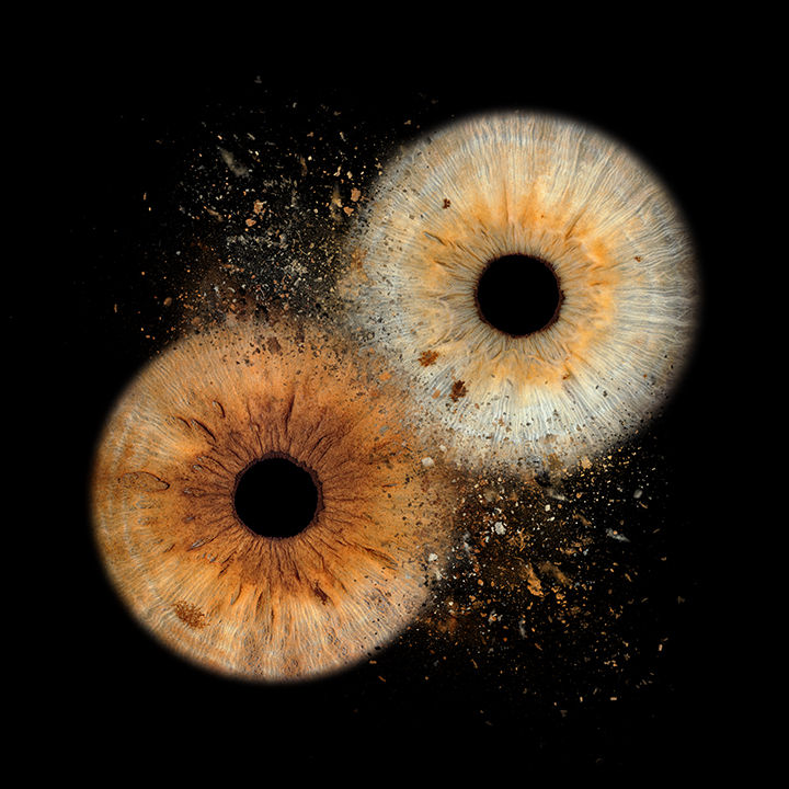 Clash (optional) — Iris Foto prices