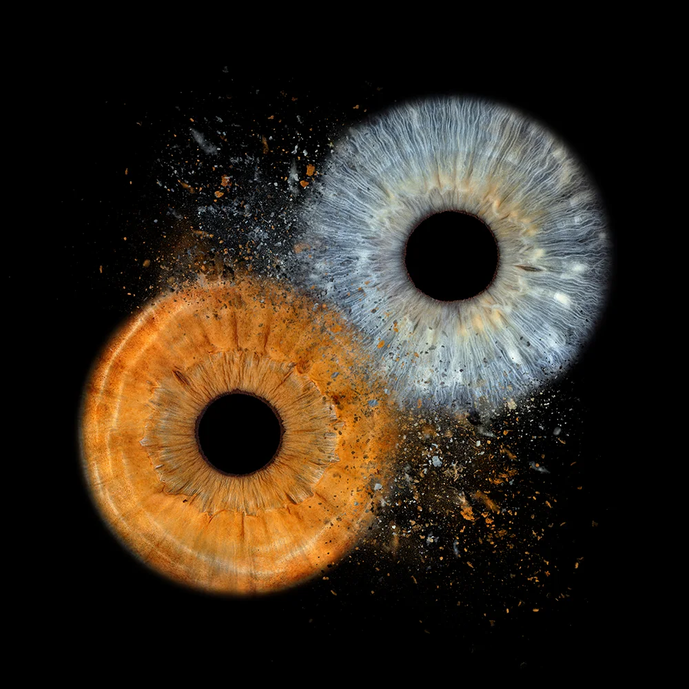 Iris Clash – zwei Iriden verschmolzen als Wandbild Kunstwerk