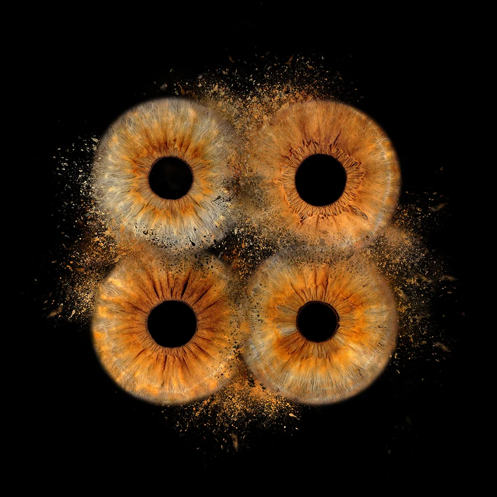 Familien Iris Clash mit vier Iris als Wandbild im Esszimmer