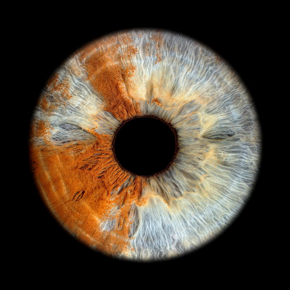Braune Iris Makroaufnahme – einzigartige Irisfotografie Schweiz