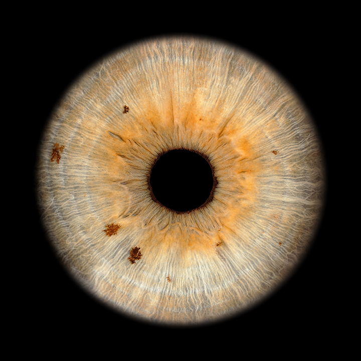 Iris photo shoot — Iris Foto prices