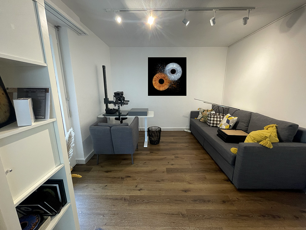 Iris Foto Zürich – Büro mit Kamin und Wandbildern