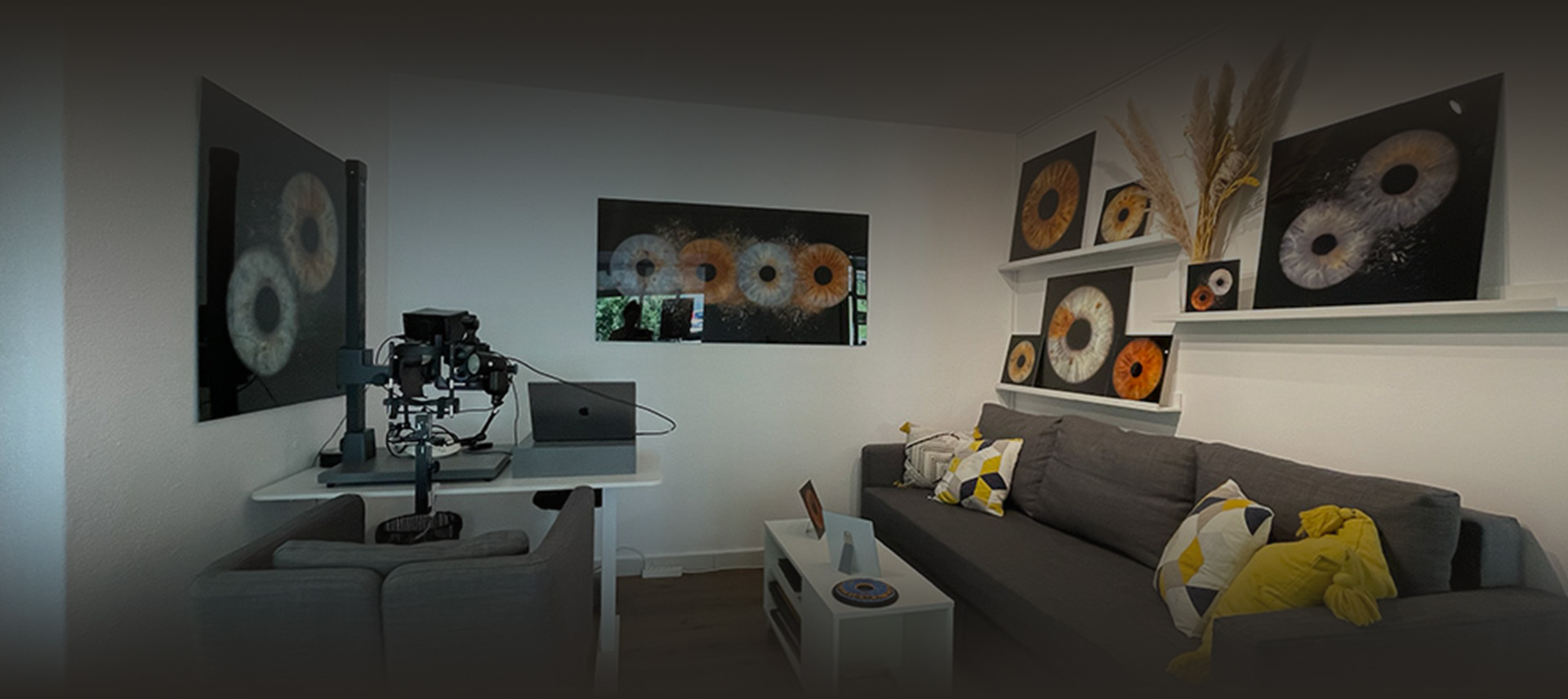 Iris Foto Studio Zürich – Lounge mit Iris Wandbildern