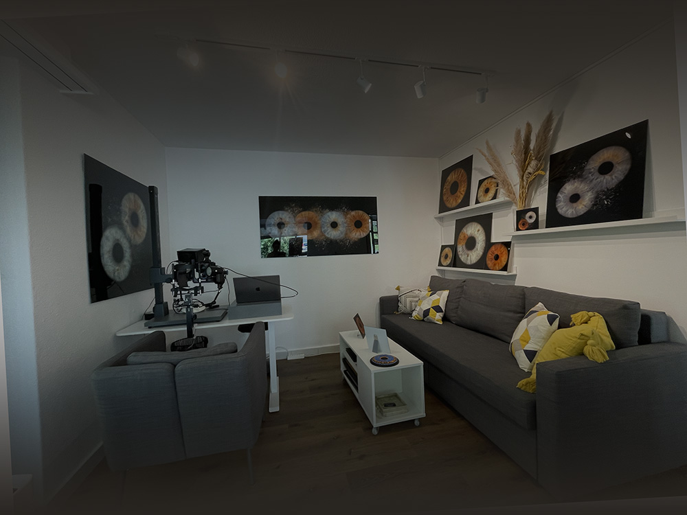 Iris Foto Zürich – Wohnzimmer mit Sofa und Iris Kunst